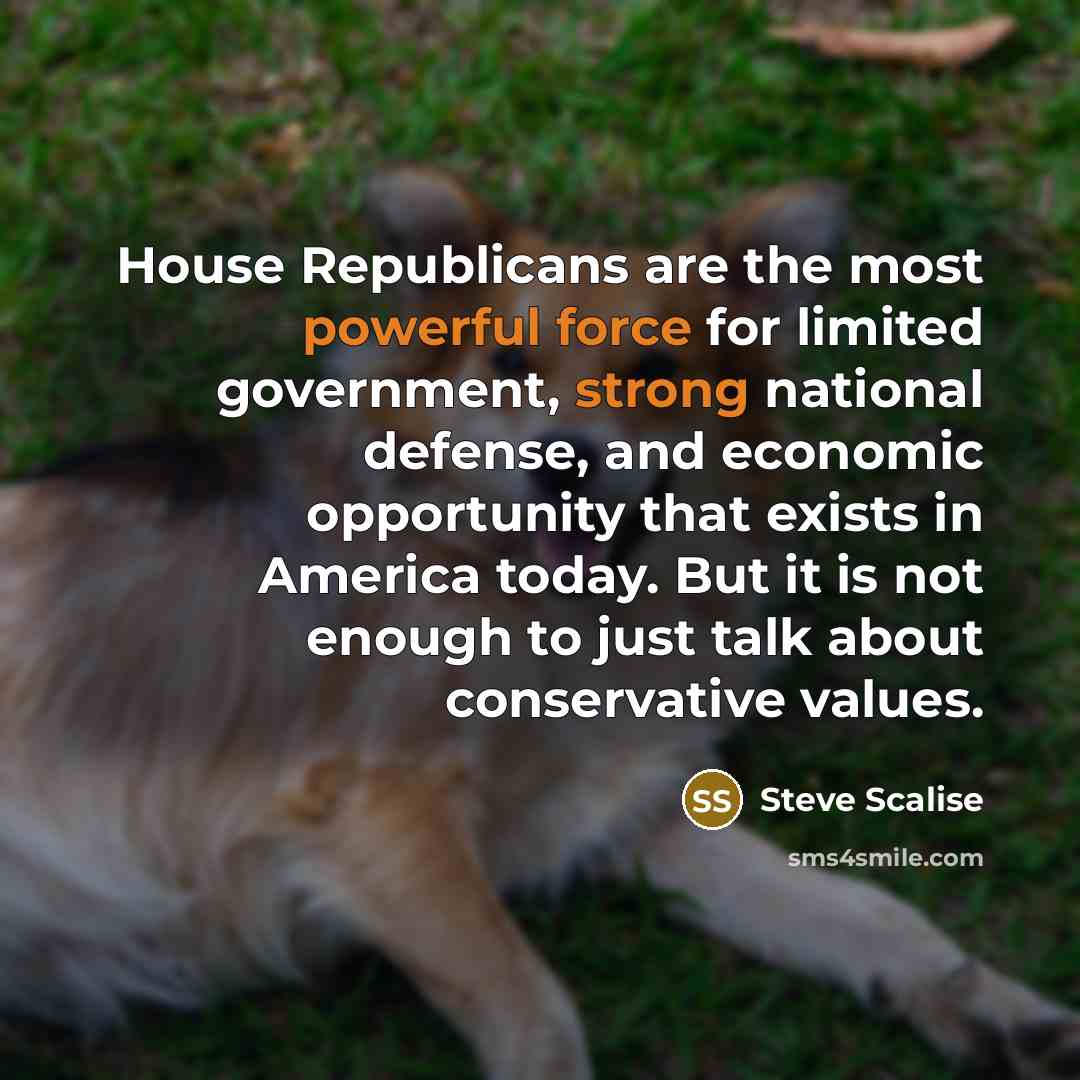 “House Republicans are the most powerful force for limited government, strong national defense, and economic opportunity that exists in America today. But it is not enough to just talk about conservative values.” quote by Steve Scalise
