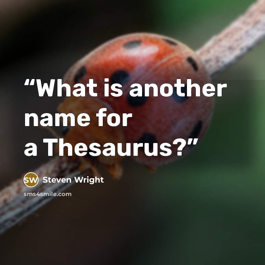 “What is another name for a Thesaurus?” quote by Steven Wright