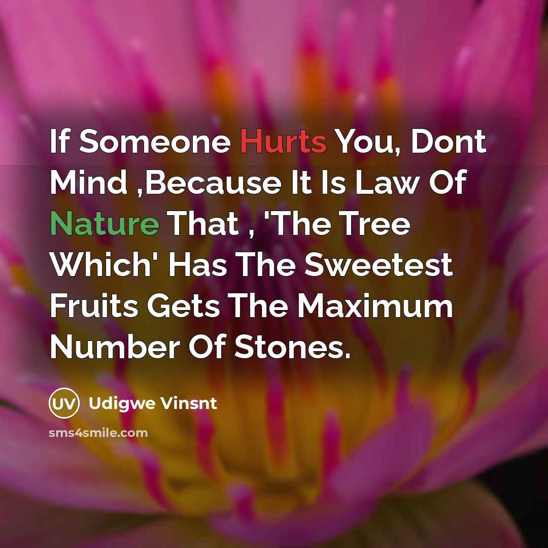 “If Someone Hurts You, Dont Mind ,Because It Is Law…” quote by Udigwe Vinsnt