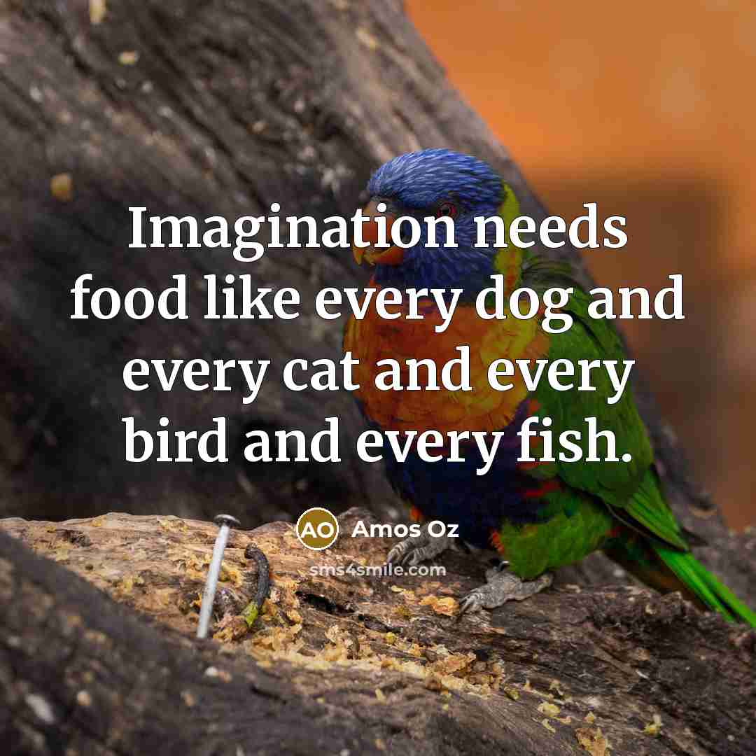 “Imagination needs food like every dog and every cat and…” quote by Amos Oz