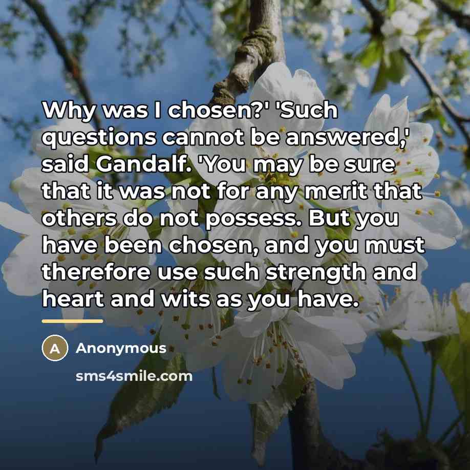 “Why was I chosen?' 'Such questions cannot be answered,' said…” quote by Anonymous