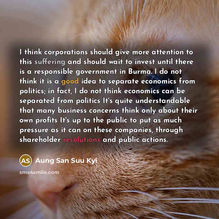 “I think corporations should give more attention to this suffering…” quote by Aung San Suu Kyi