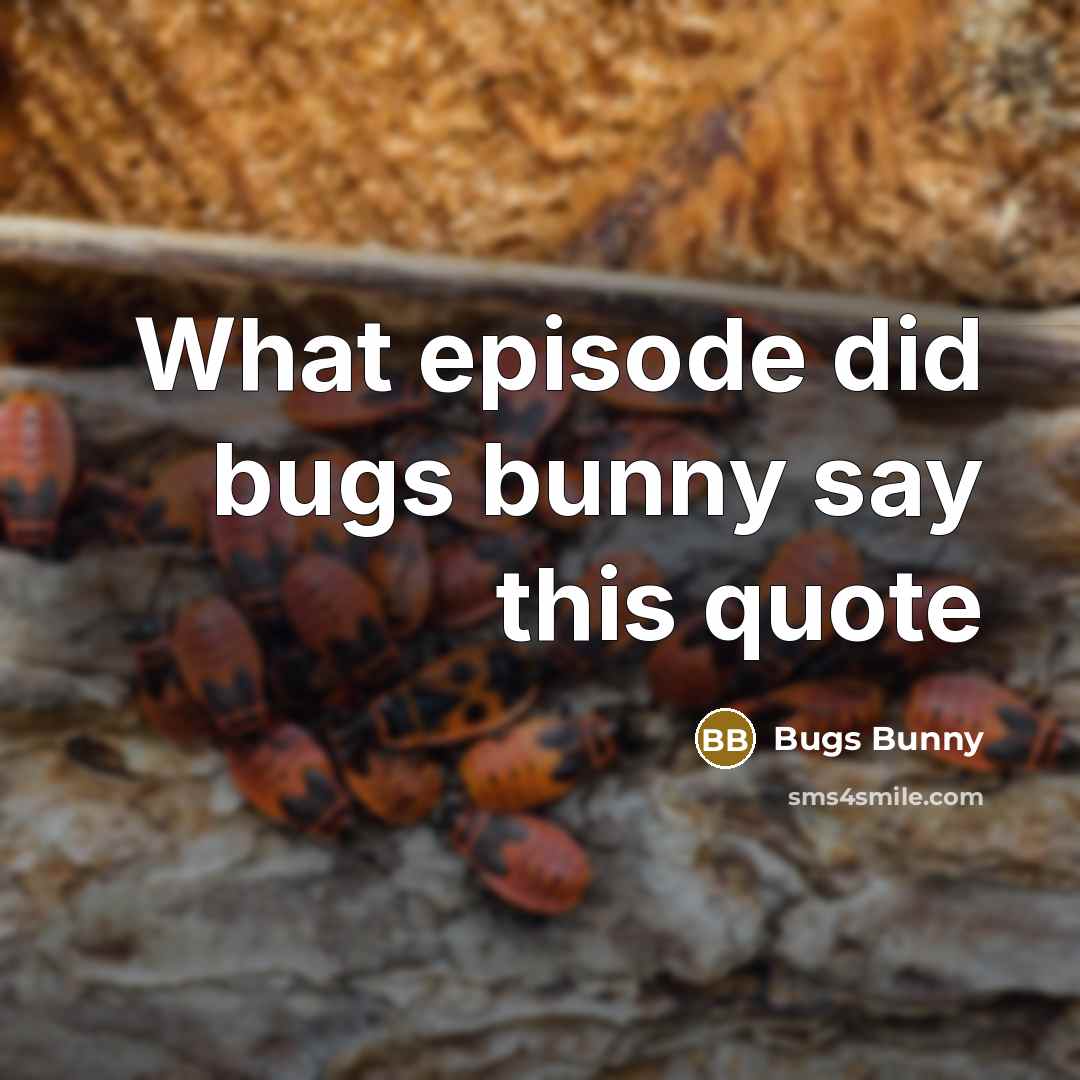 “What episode did bugs bunny say this quote” quote by Bugs Bunny