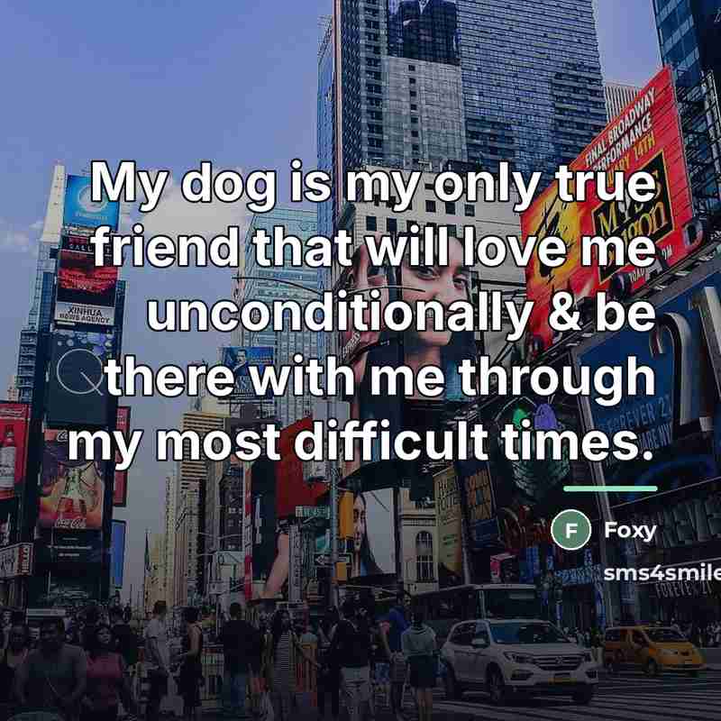 “My dog is my only true friend that will love…” quote by Foxy