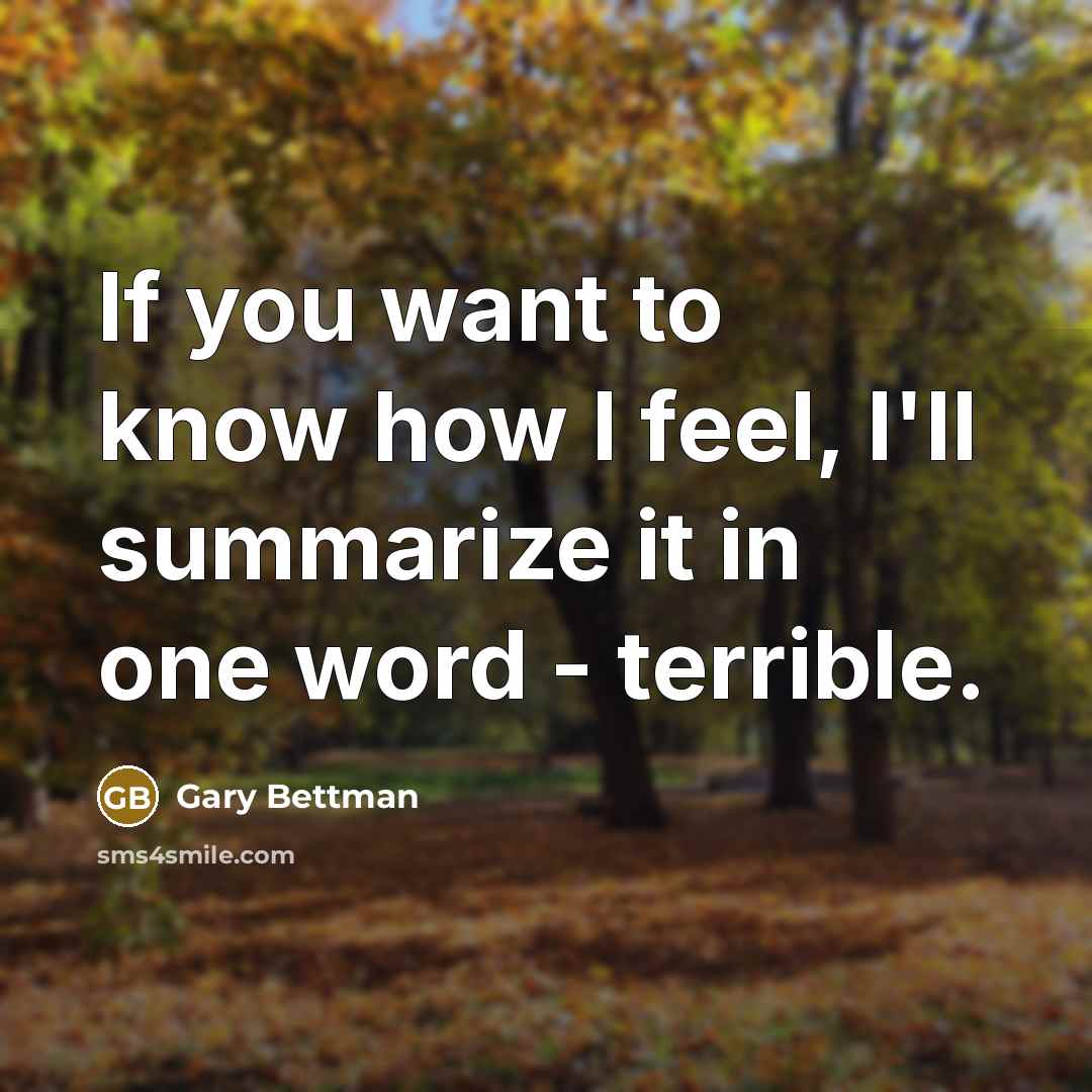 “If you want to know how I feel, I'll summarize…” quote by Gary Bettman