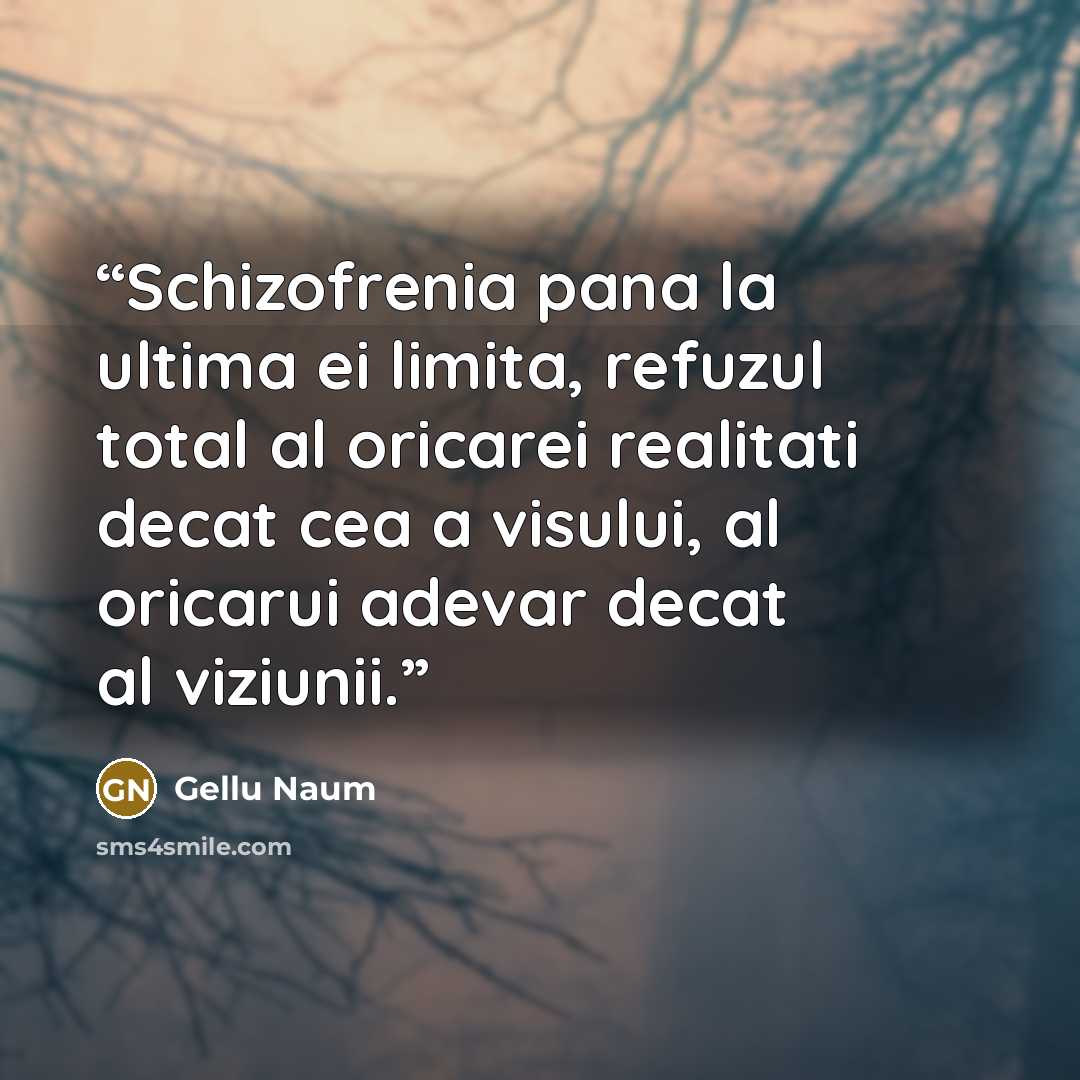 “Schizofrenia pana la ultima ei limita, refuzul total al oricarei realitati decat cea a visului, al oricarui adevar decat al viziunii.” quote by Gellu Naum
