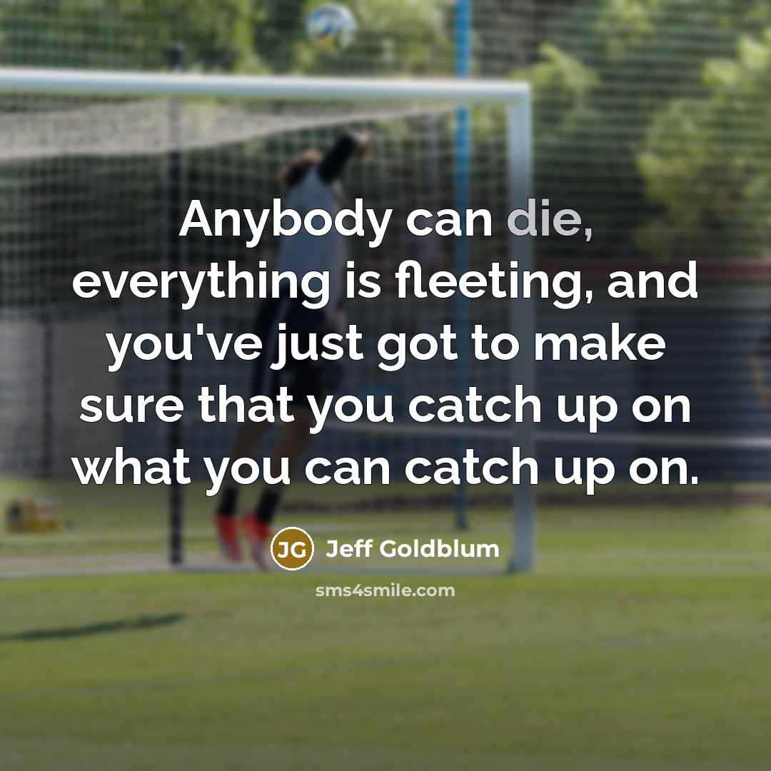 “Anybody can die, everything is fleeting, and you've just got…” quote by Jeff Goldblum