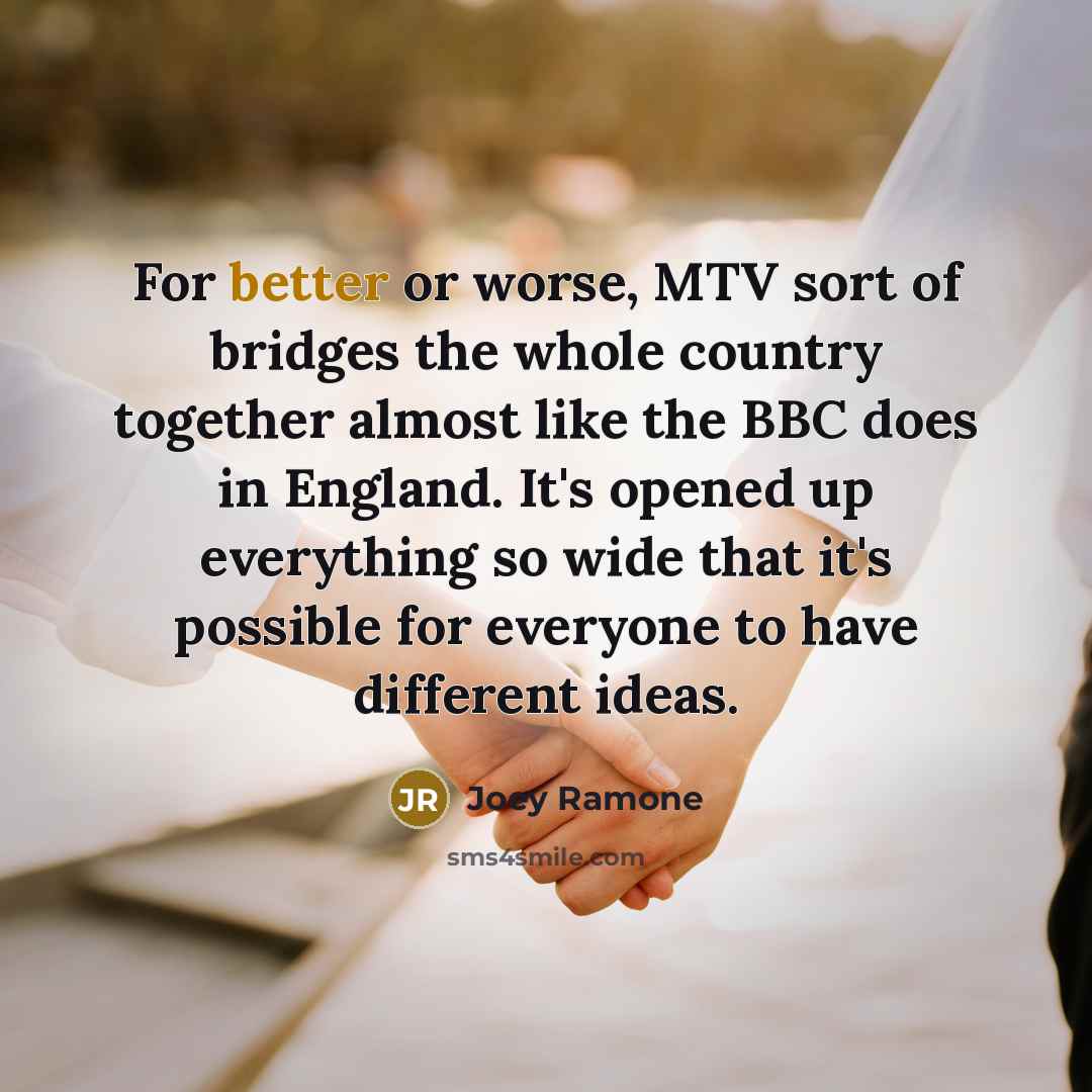 “For better or worse, MTV sort of bridges the whole…” quote by Joey Ramone