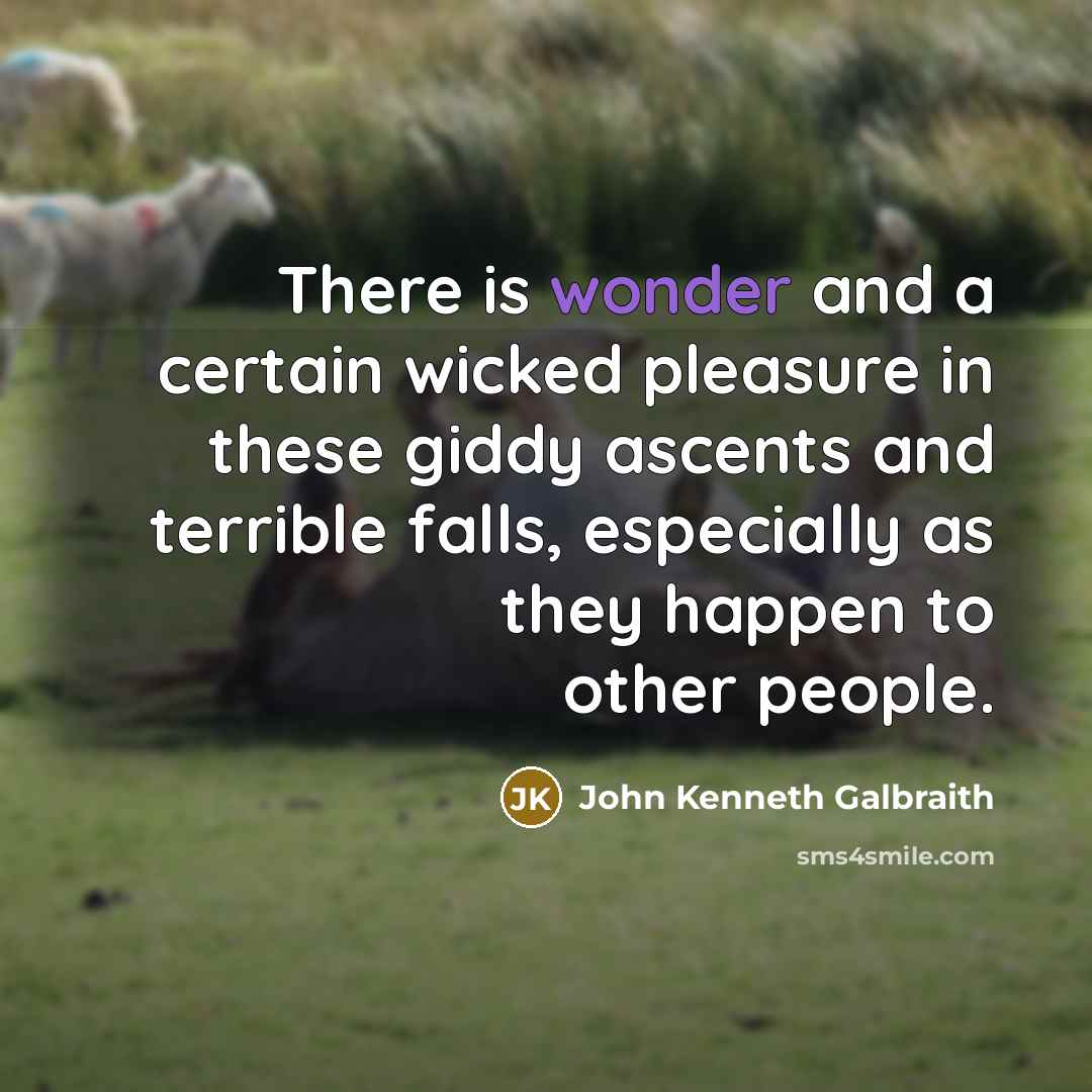 “There is wonder and a certain wicked pleasure in these…” quote by John Kenneth Galbraith