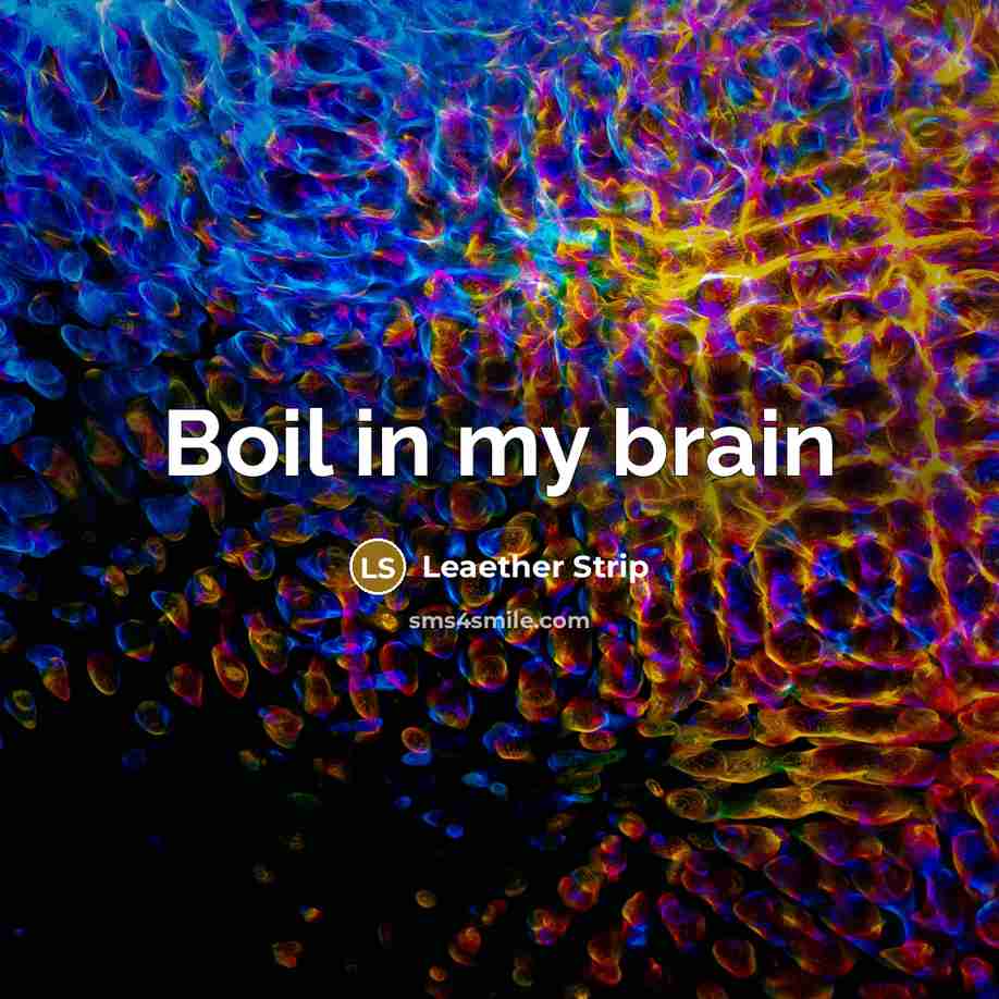“Boil in my brain” quote by Leaether Strip