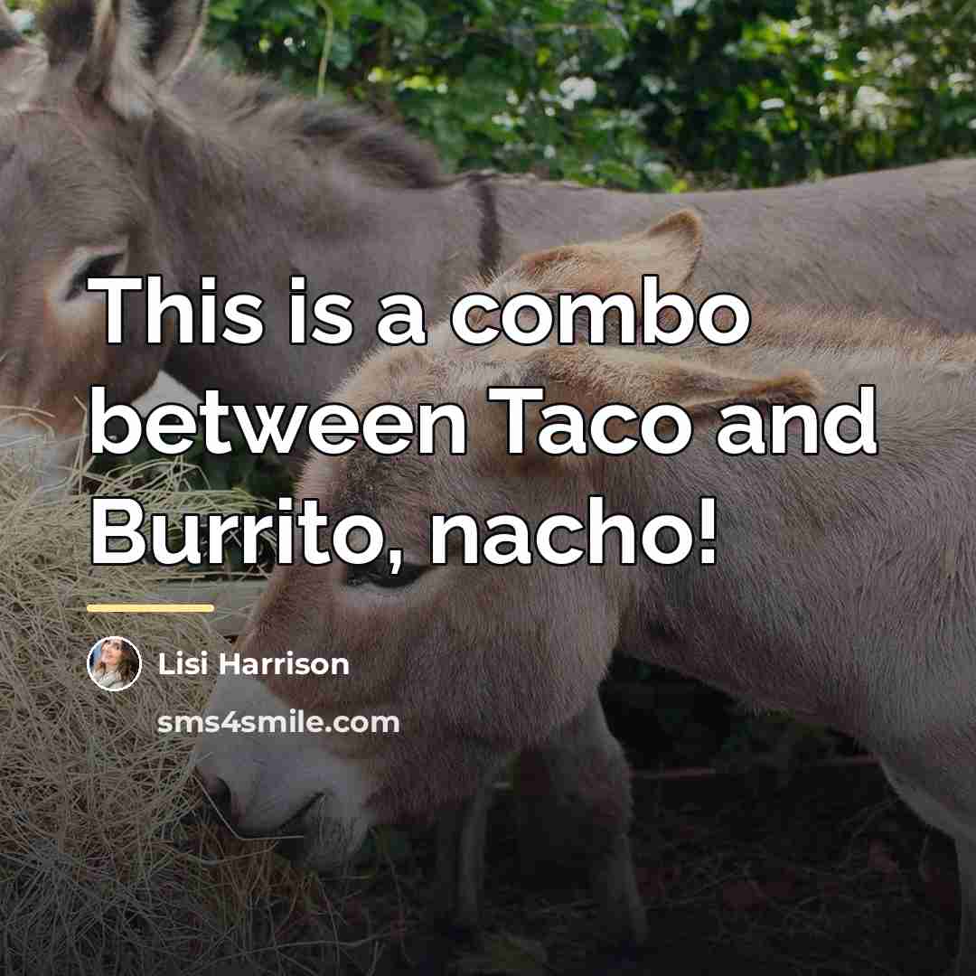 “This is a combo between Taco and Burrito, nacho!…” quote by Lisi Harrison