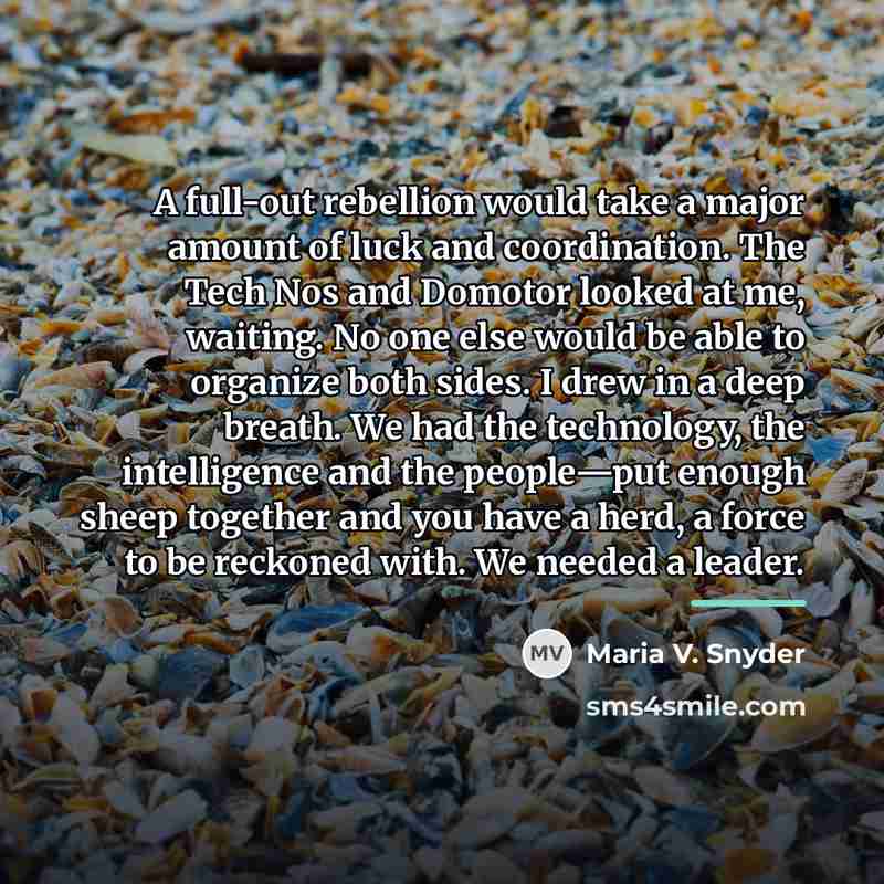 “A full-out rebellion would take a major amount of luck…” quote by Maria V. Snyder