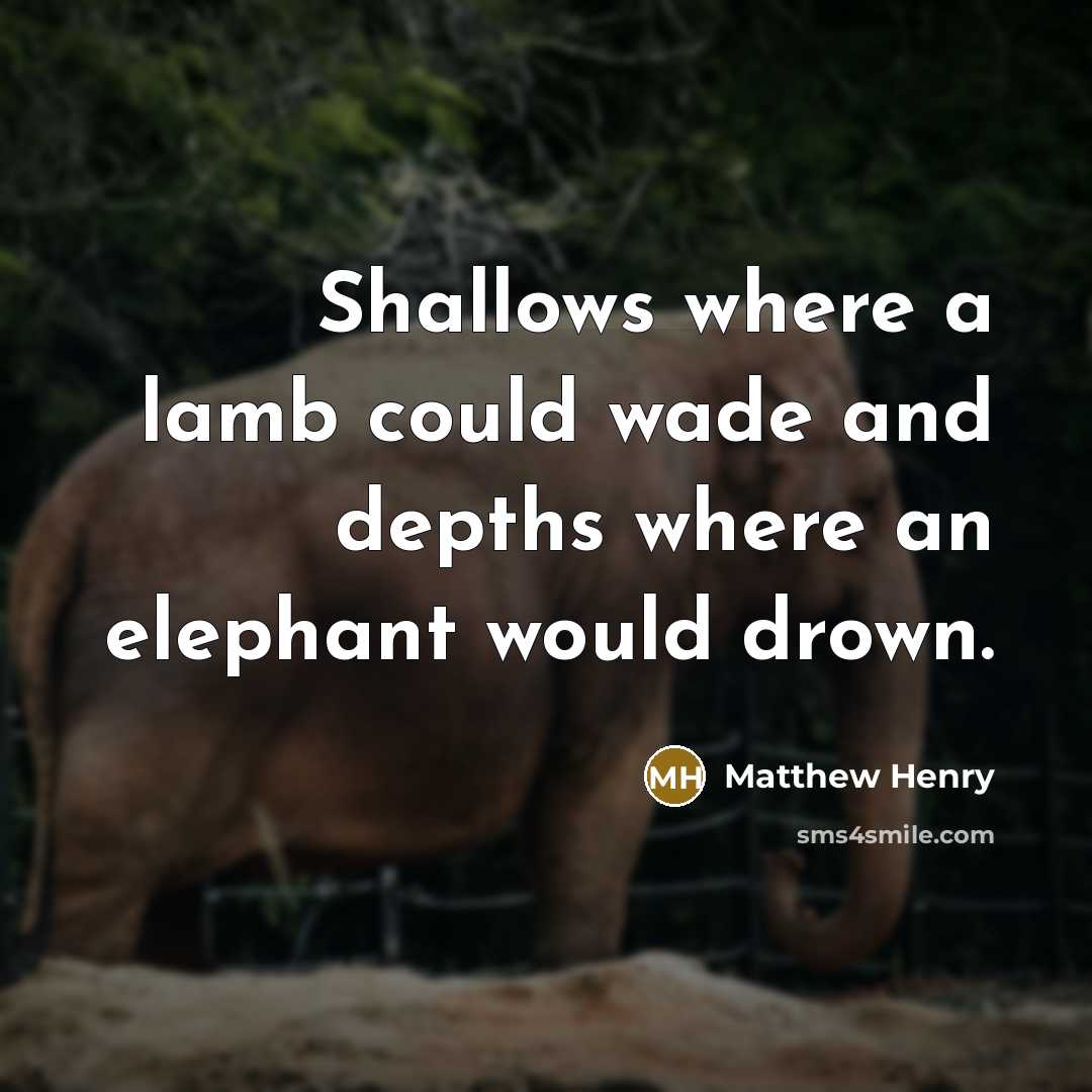 “Shallows where a lamb could wade and depths where an…” quote by Matthew Henry
