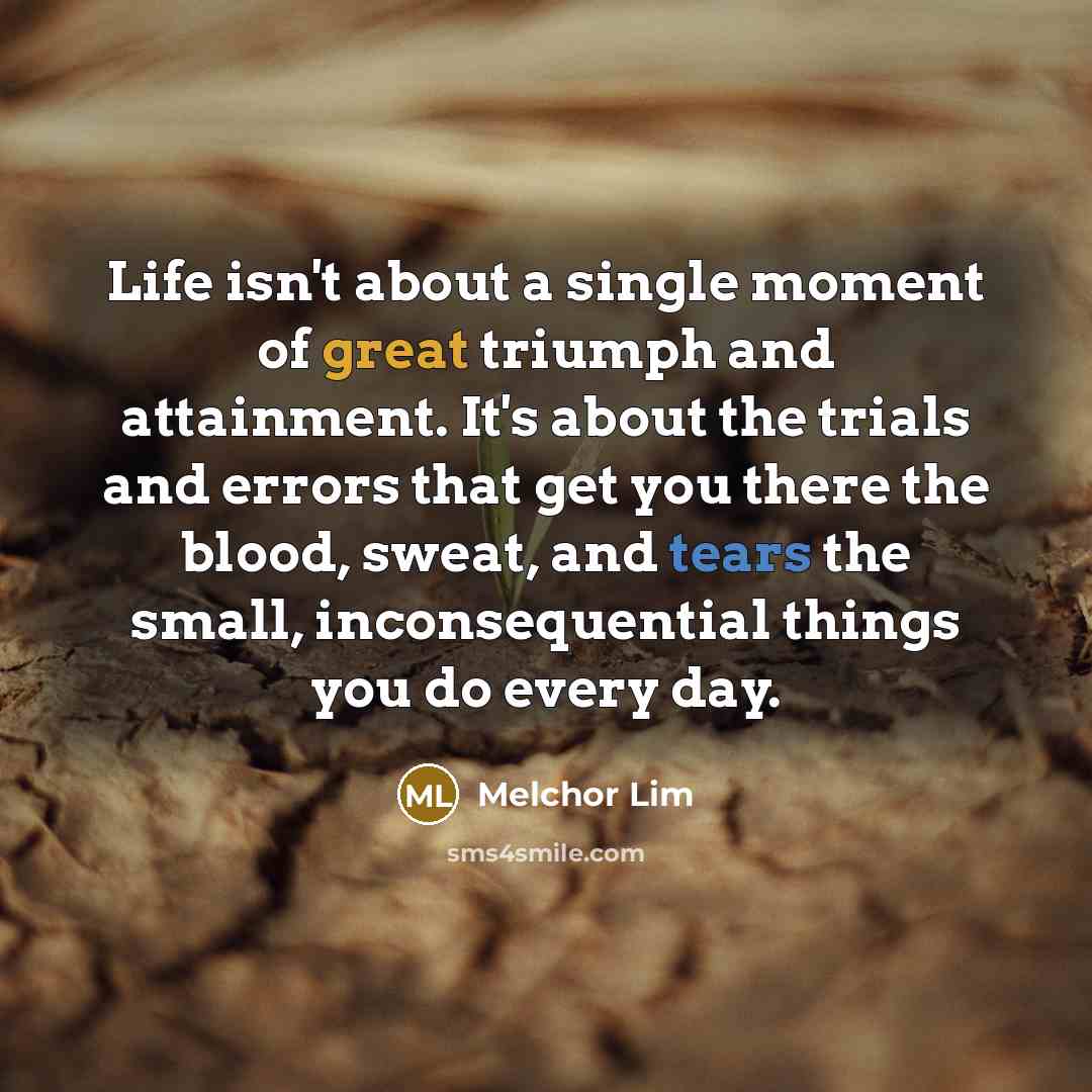 “Life isn't about a single moment of great triumph and…” quote by Melchor Lim