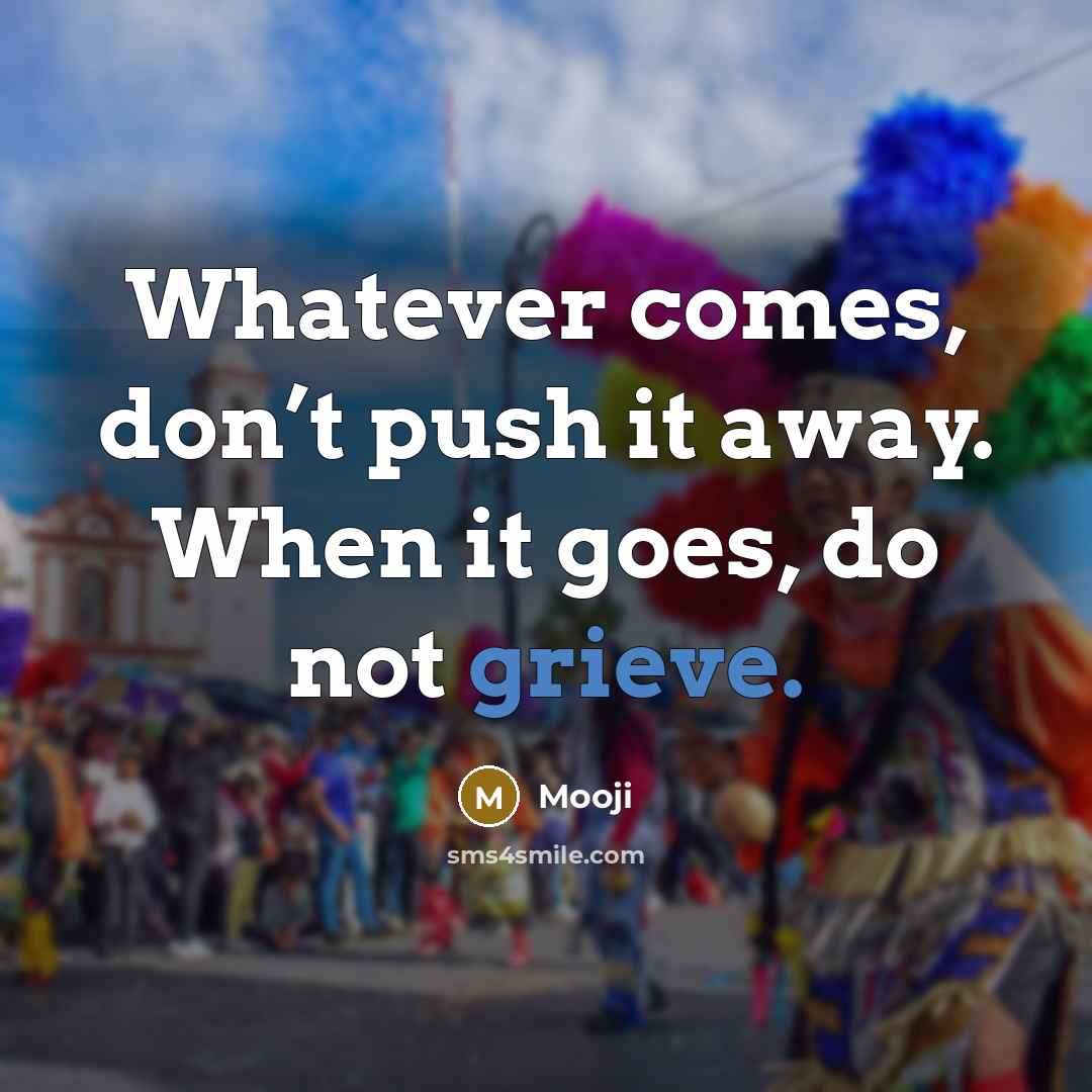 “Whatever comes, don’t push it away. When it goes, do not grieve.” quote by Mooji
