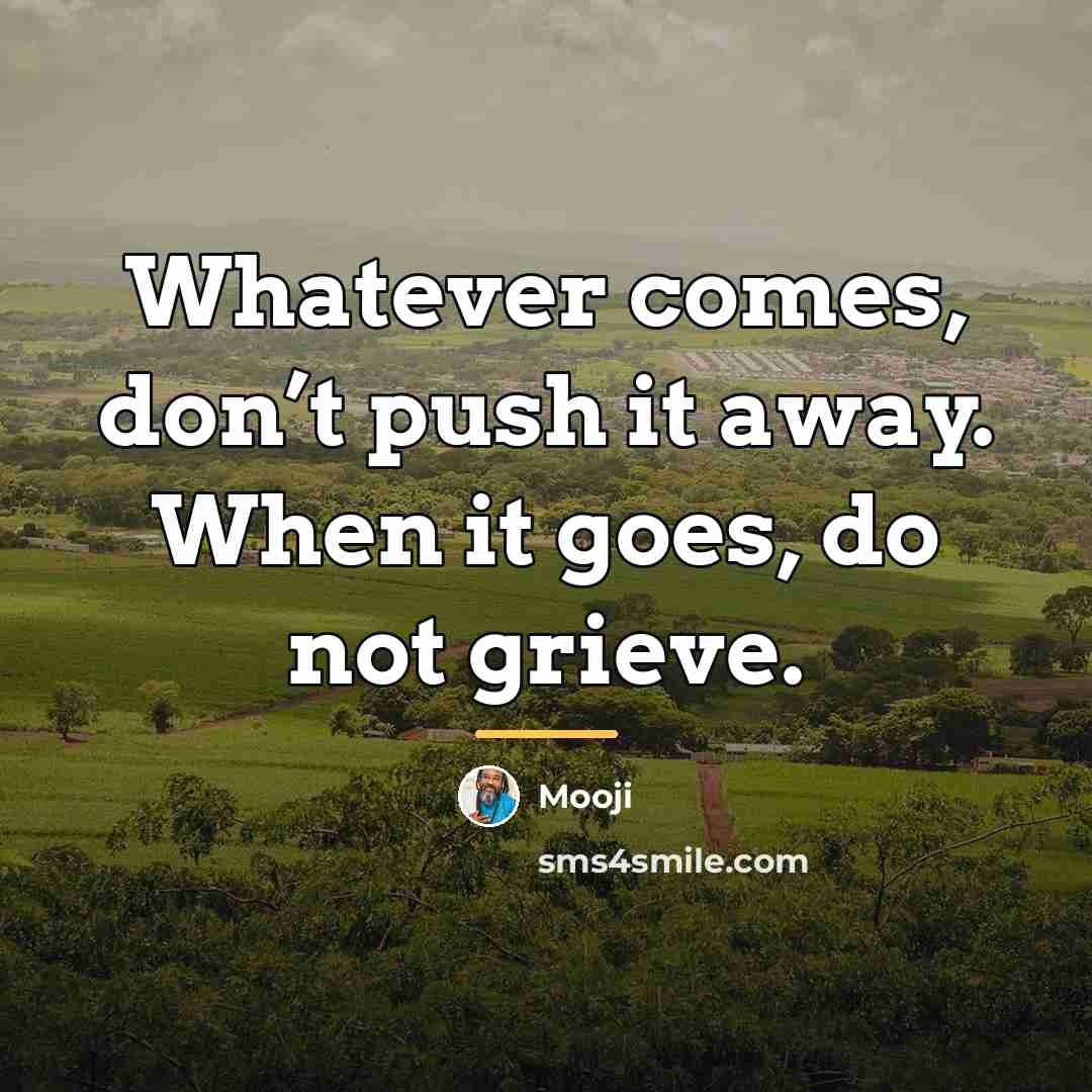 “Whatever comes, don’t push it away. When it goes, do…” quote by Mooji