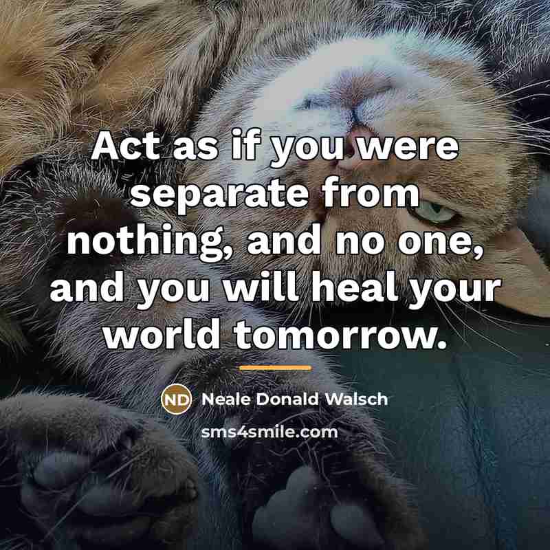 “Act as if you were separate from nothing, and no…” quote by Neale Donald Walsch