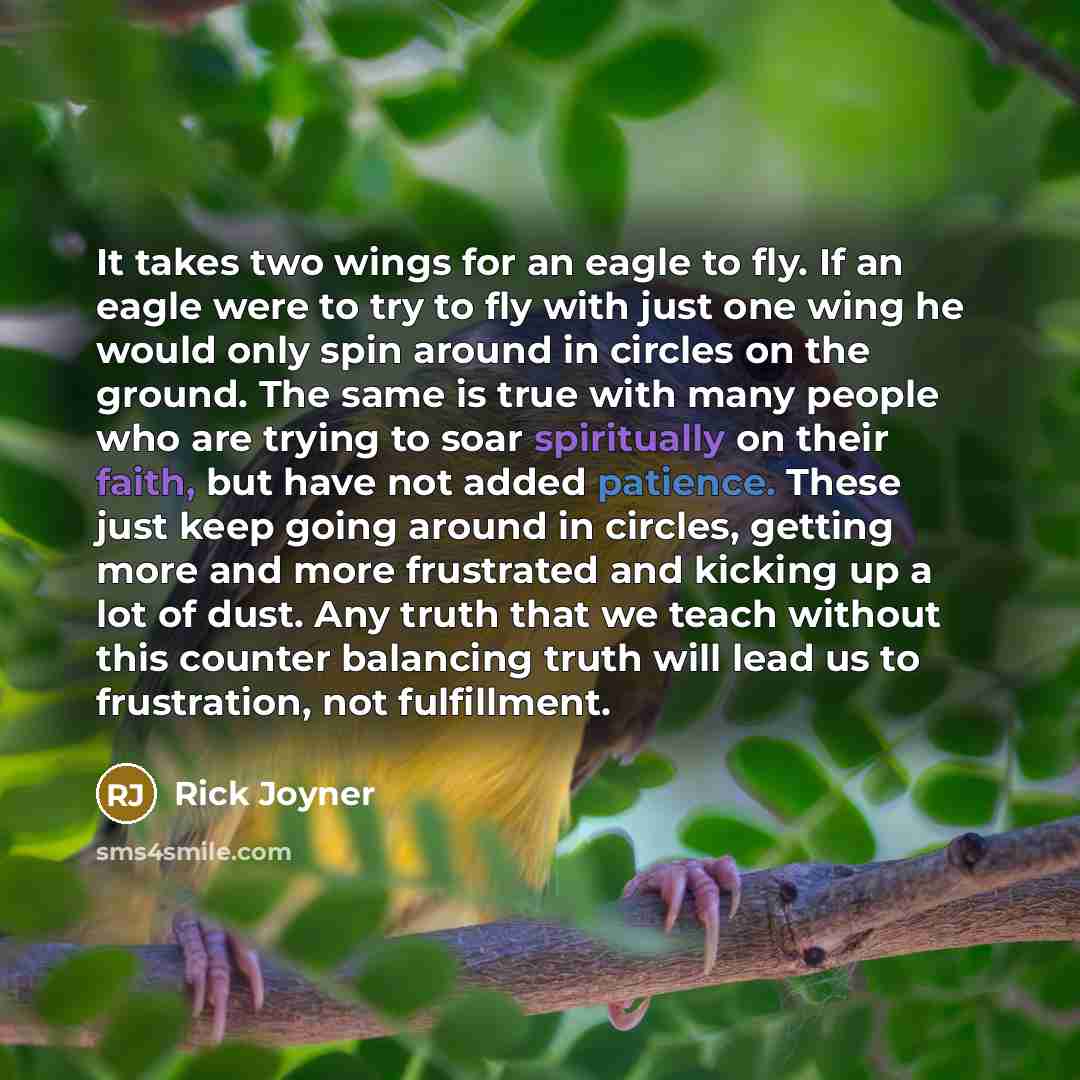 “It takes two wings for an eagle to fly. If an eagle were to try to fly with just one wing he would only spin around in circles on the ground. The same is true with many people who are trying to soar spiritually on their faith, but have not added patience. These just keep going around in circles…” quote by Rick Joyner