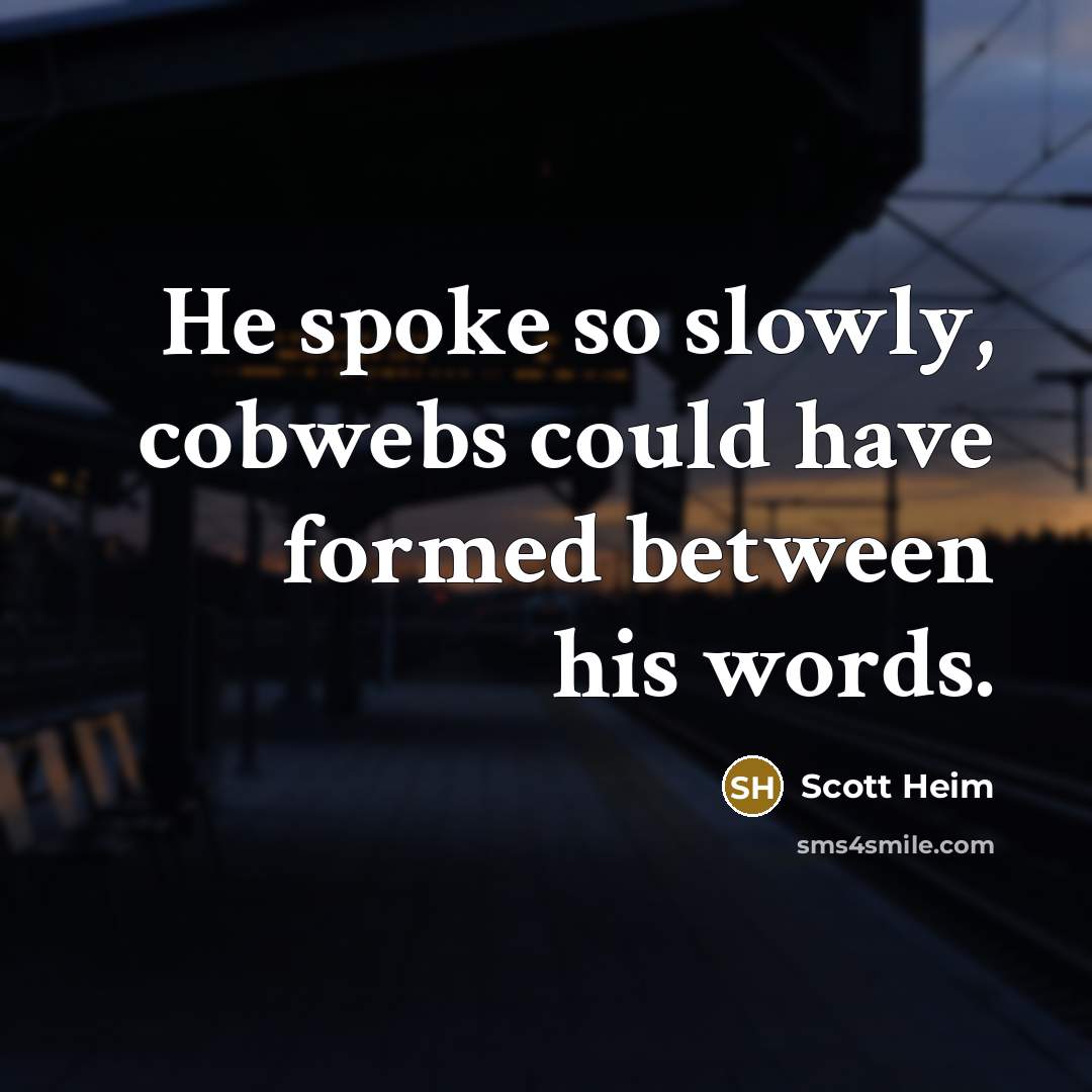 “He spoke so slowly, cobwebs could have formed between his…” quote by Scott Heim