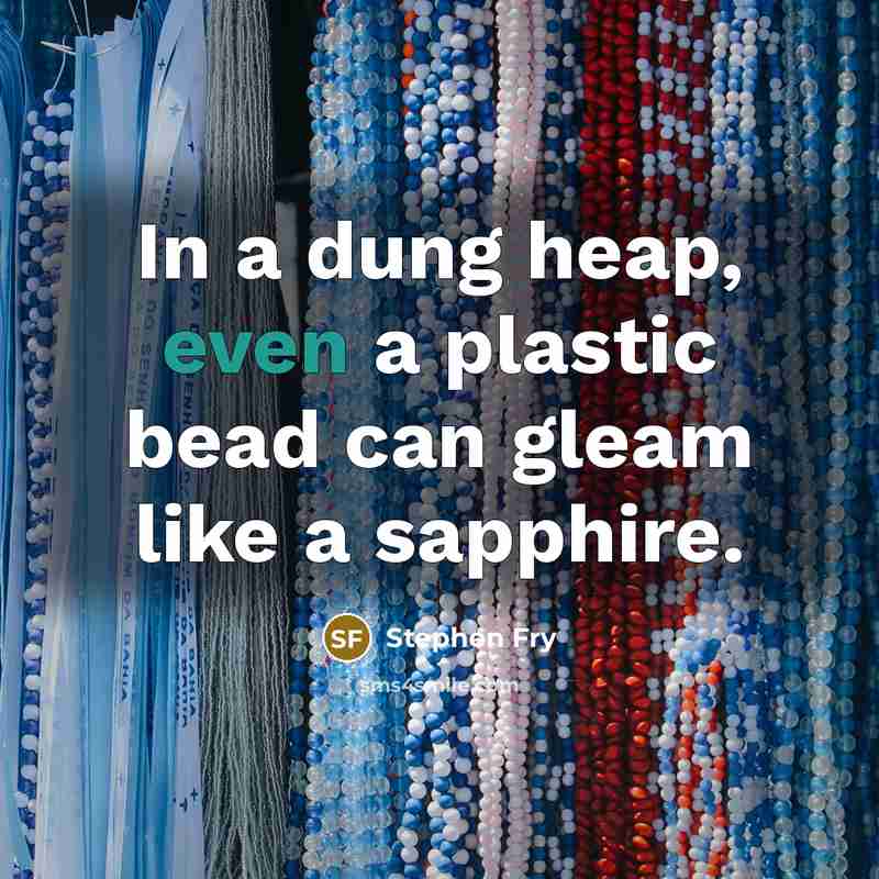 “In a dung heap, even a plastic bead can gleam…” quote by Stephen Fry