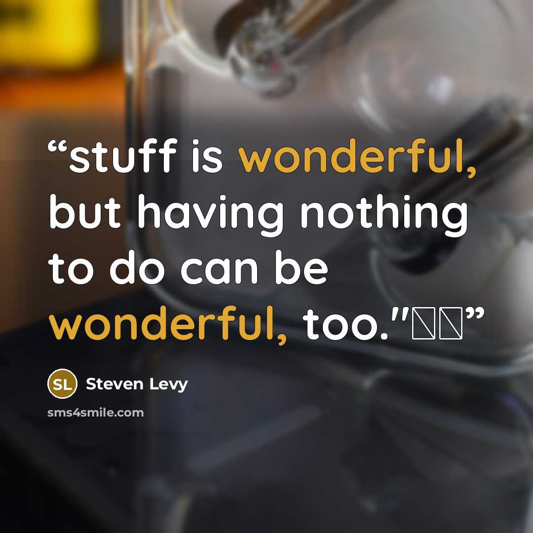 “stuff is wonderful, but having nothing to do can be wonderful, too."��” quote by Steven Levy
