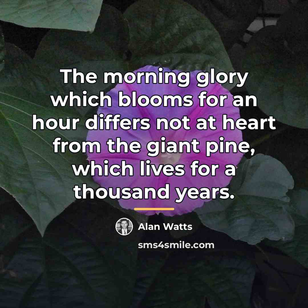 “The morning glory which blooms for an hour differs not…” quote by Alan Watts