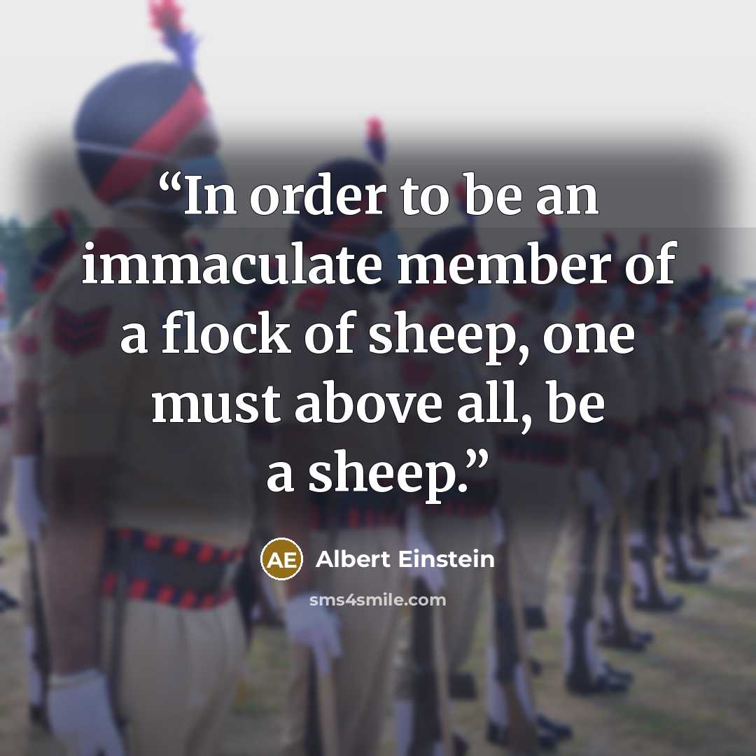 “In order to be an immaculate member of a flock of sheep, one must above all, be a sheep.” quote by Albert Einstein