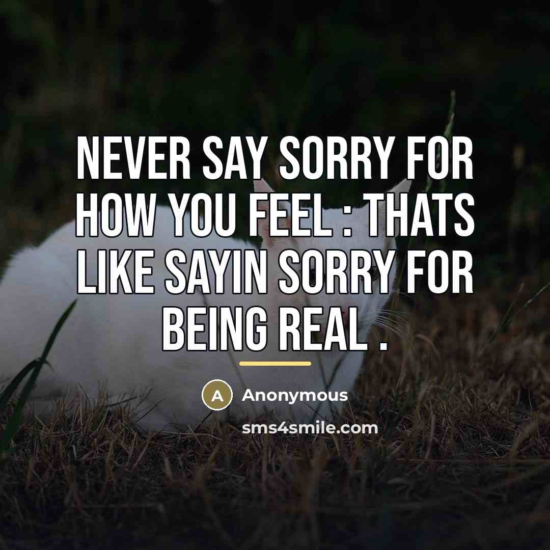“Never Say Sorry For How You Feel : Thats Like…” quote by Anonymous