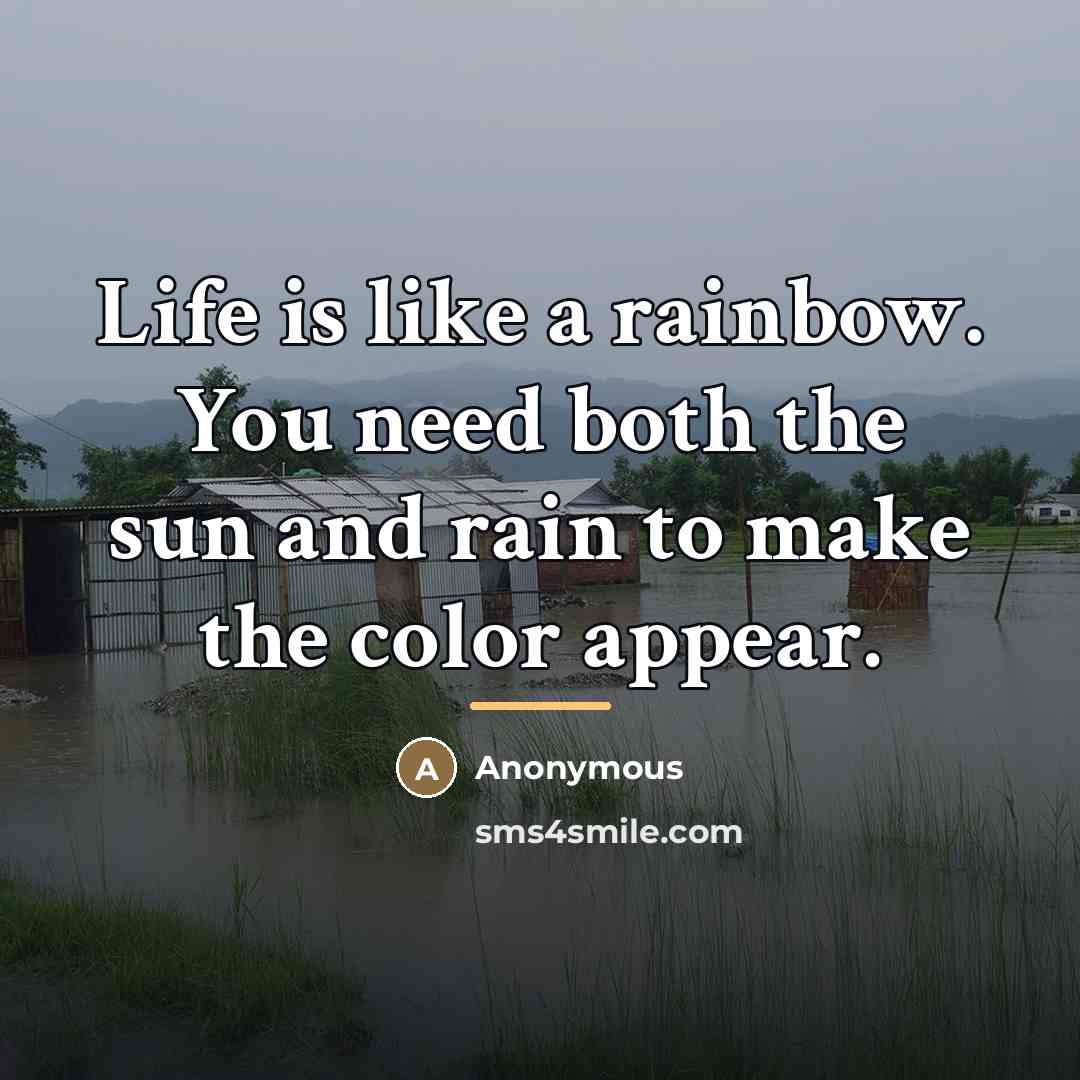 “Life is like a rainbow. You need both the sun…” quote by Anonymous