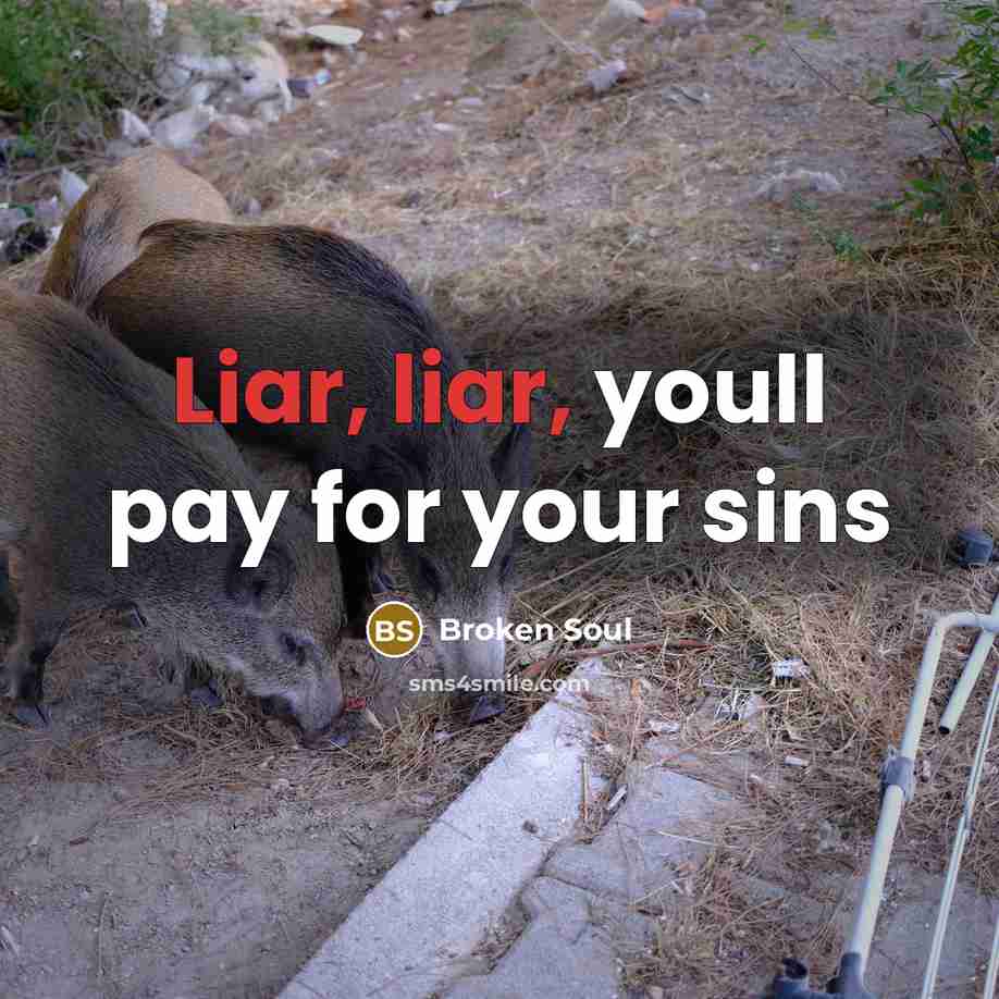 “Liar, liar, youll pay for your sins…” quote by Broken Soul