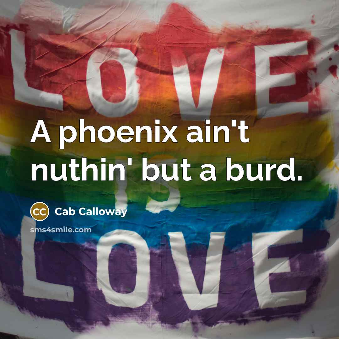 “A phoenix ain't nuthin' but a burd.…” quote by Cab Calloway