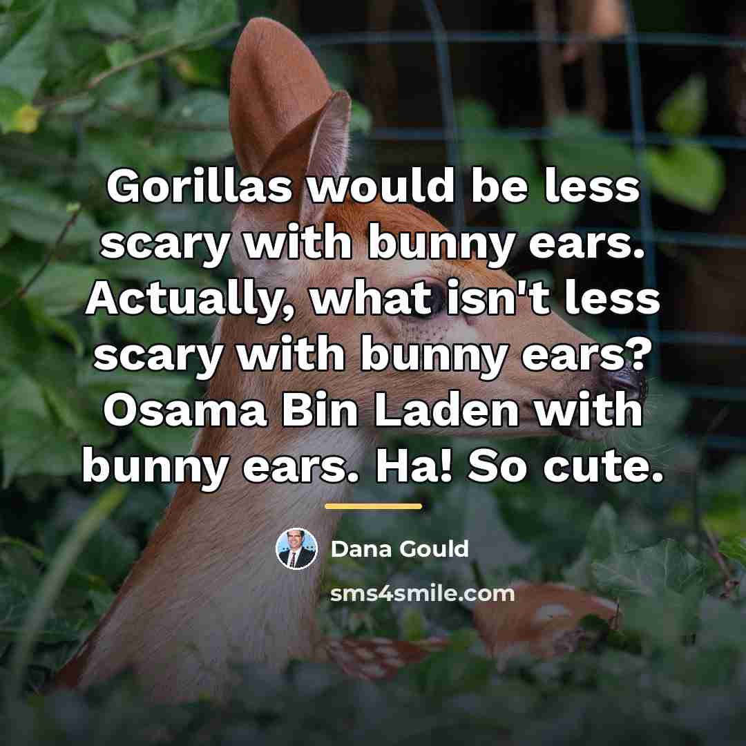 “Gorillas would be less scary with bunny ears. Actually, what…” quote by Dana Gould