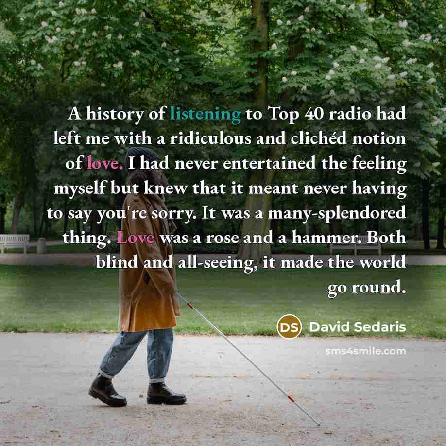 “A history of listening to Top 40 radio had left…” quote by David Sedaris
