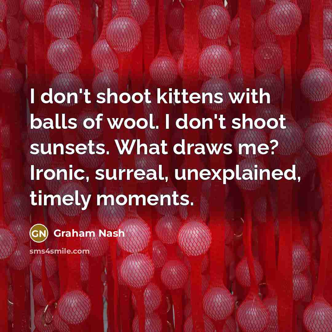 “I don't shoot kittens with balls of wool. I don't…” quote by Graham Nash