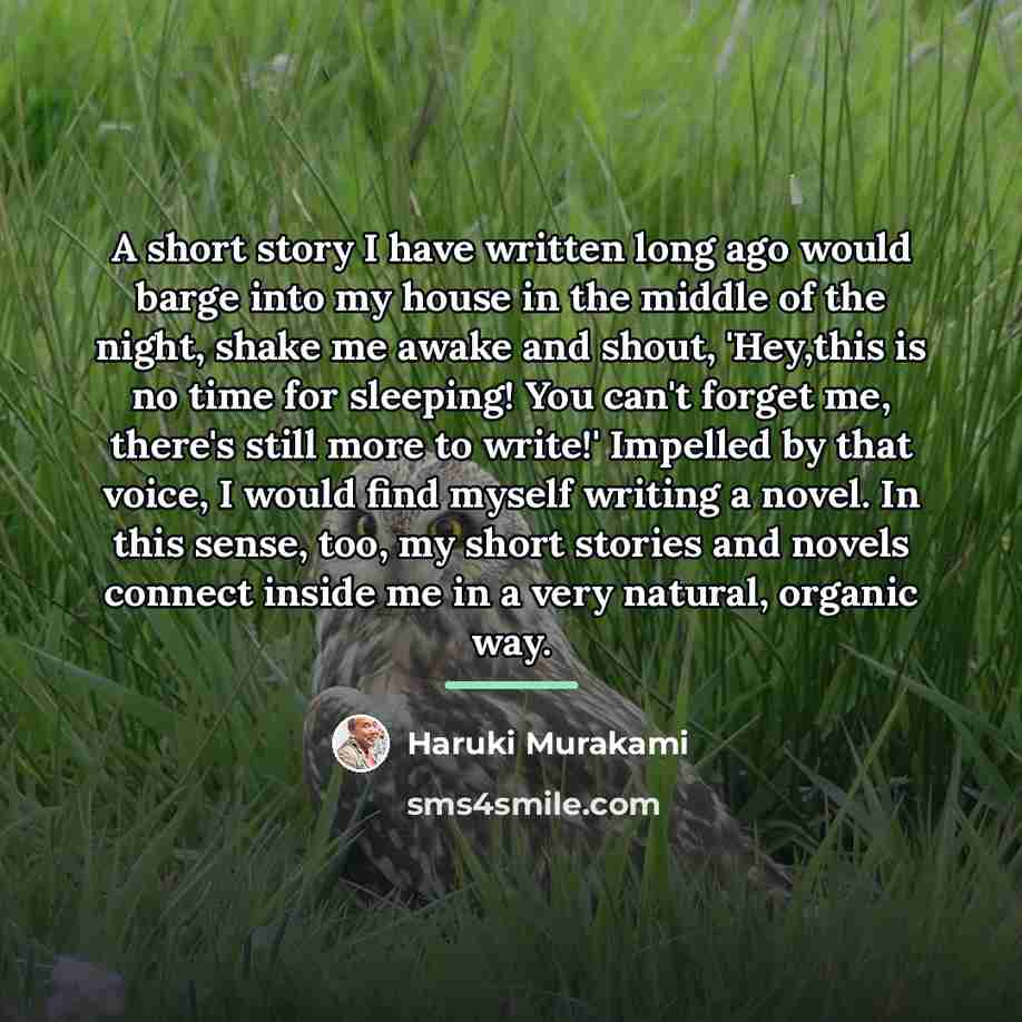 “A short story I have written long ago would barge…” quote by Haruki Murakami