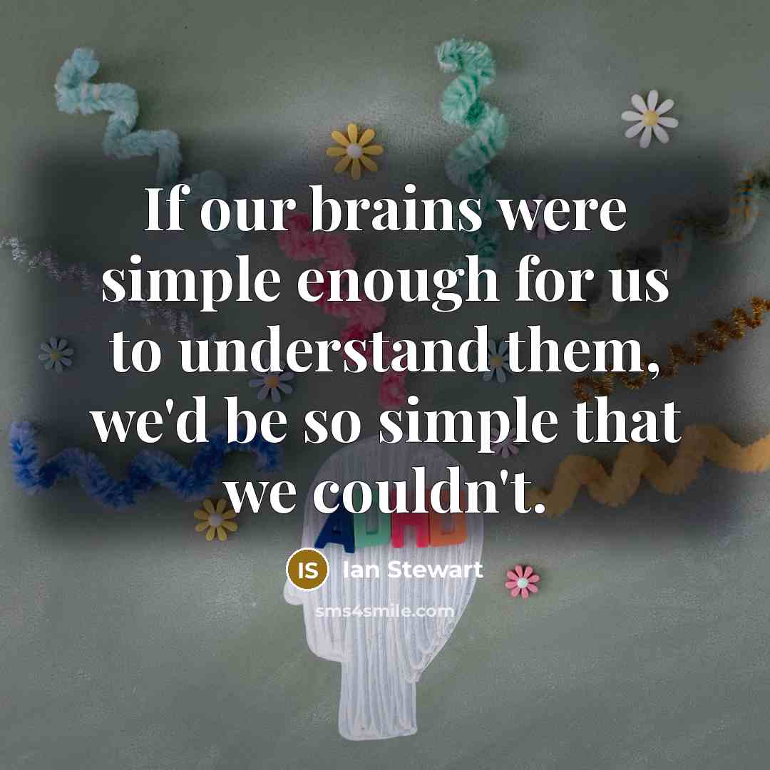 “If our brains were simple enough for us to understand…” quote by Ian Stewart