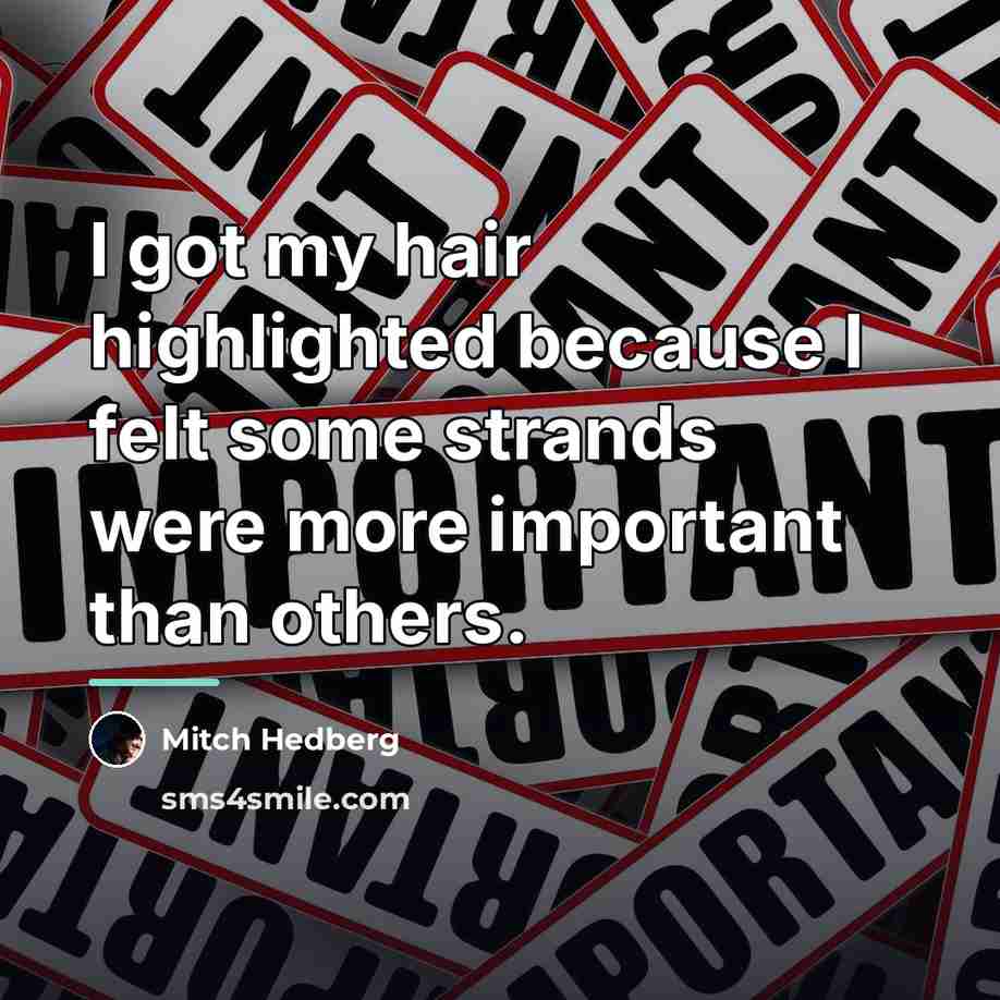 “I got my hair highlighted because I felt some strands…” quote by Mitch Hedberg