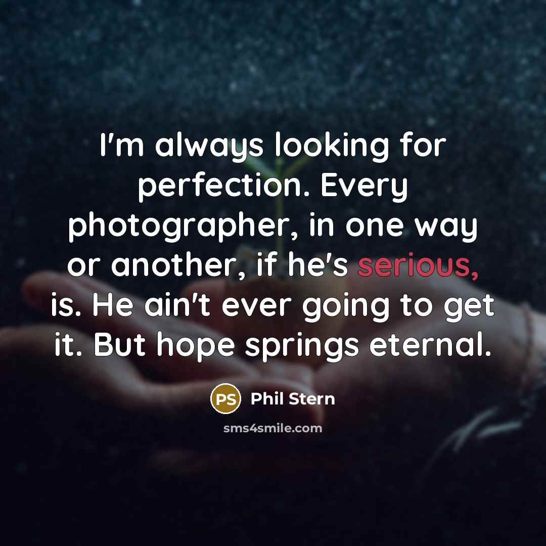 “I'm always looking for perfection. Every photographer, in one way…” quote by Phil Stern