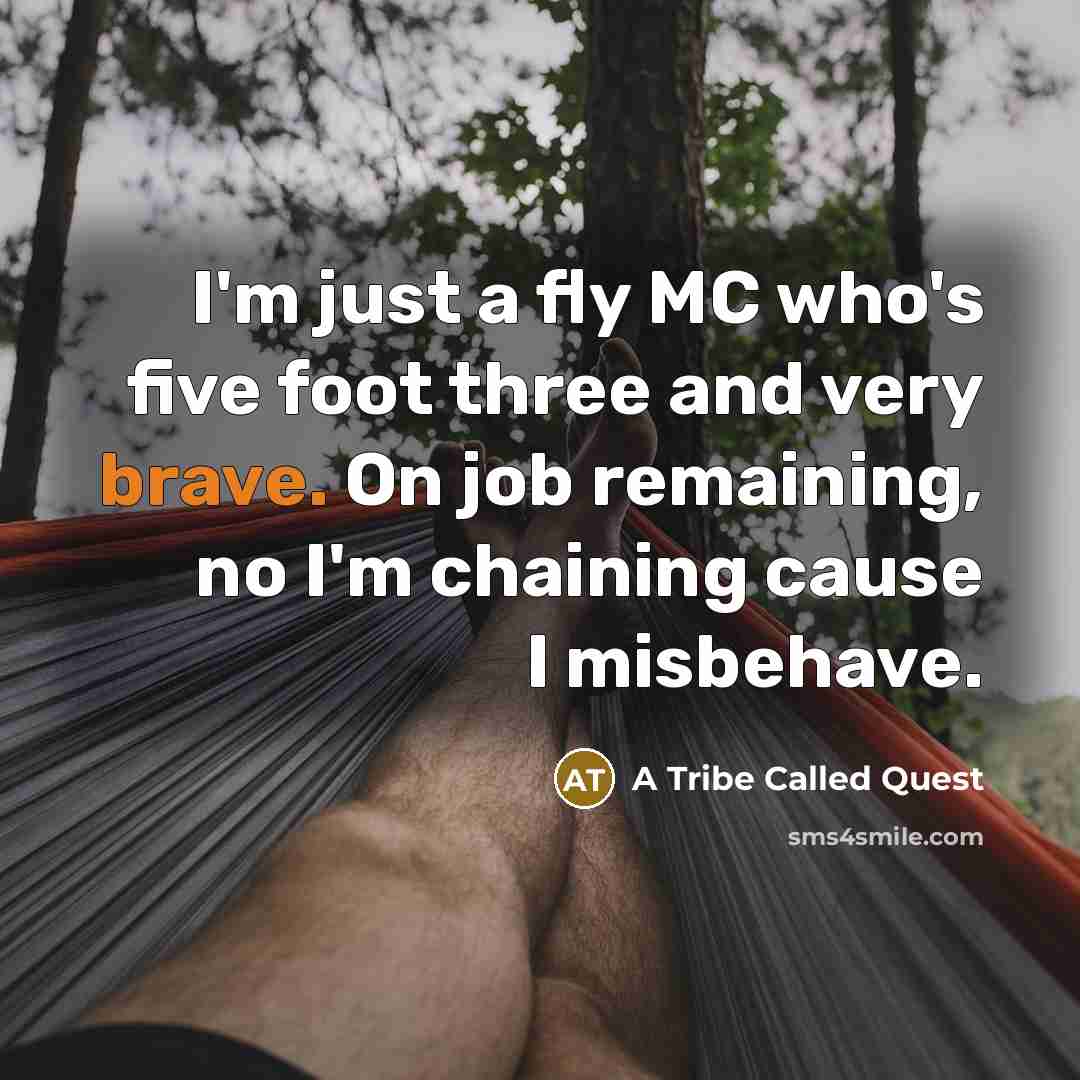 “I'm just a fly MC who's five foot three and…” quote by A Tribe Called Quest