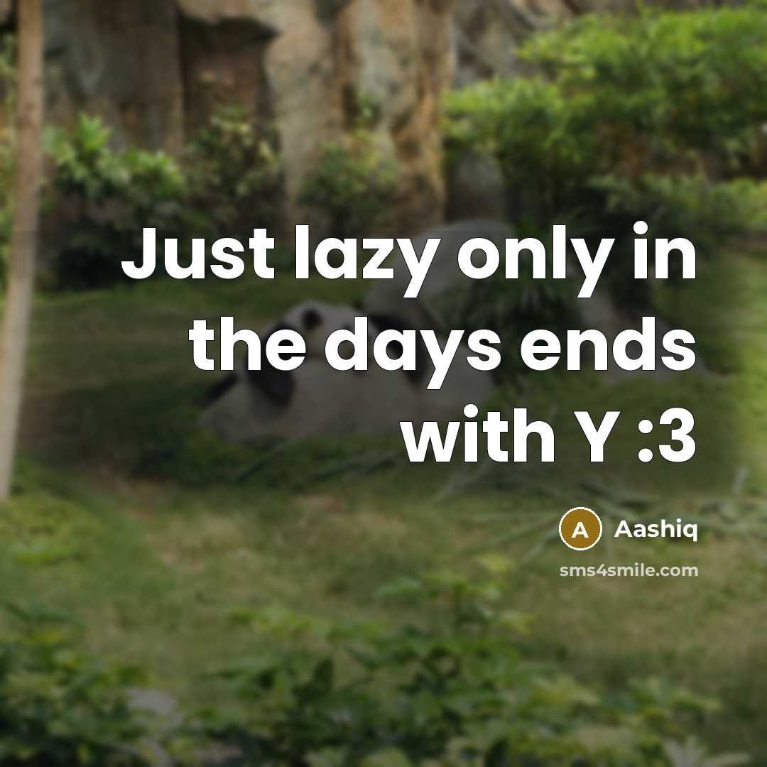 “Just lazy only in the days ends with Y :3” quote by Aashiq