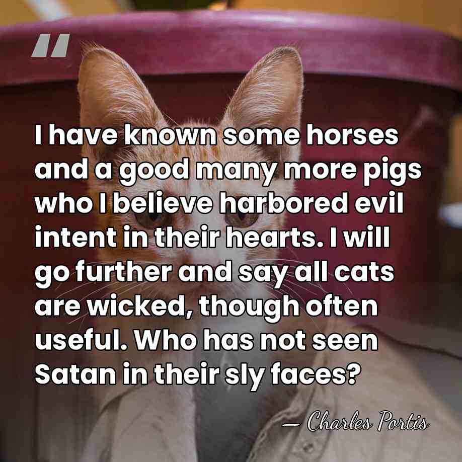 I have known some horses and a good many more pigs who&hellip; - Charles Portis