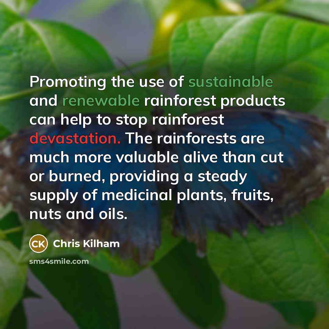 “Promoting the use of sustainable and renewable rainforest products can…” quote by Chris Kilham