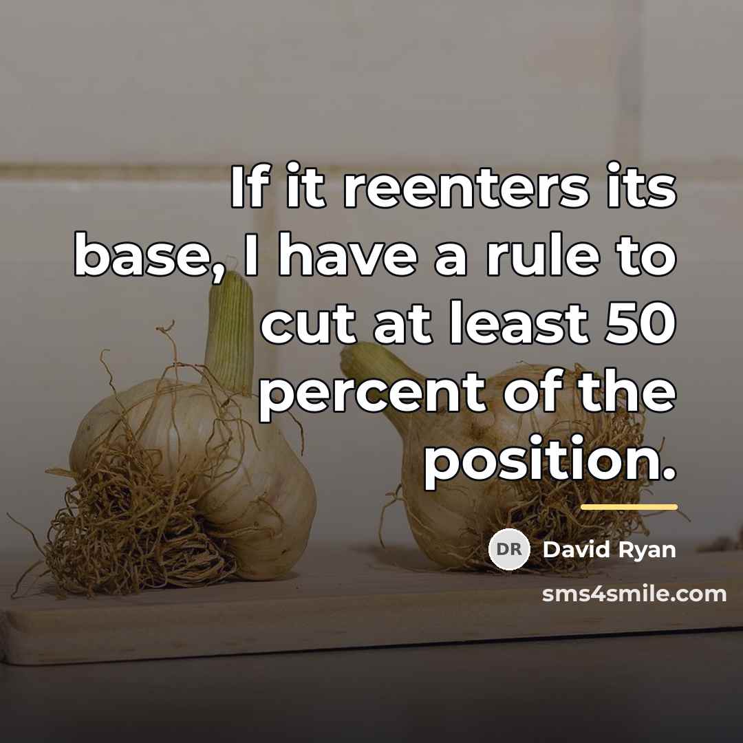 “If it reenters its base, I have a rule to…” quote by David Ryan