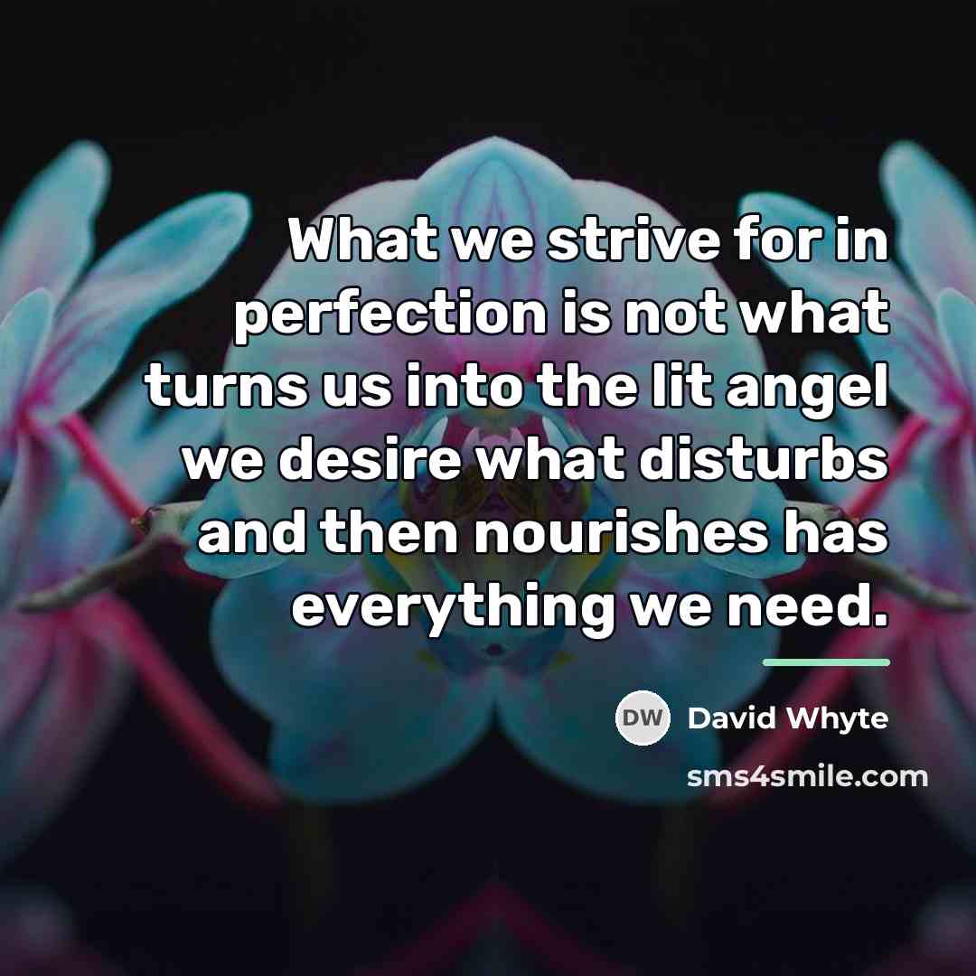 “What we strive for in perfection is not what turns…” quote by David Whyte