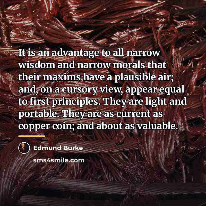 “It is an advantage to all narrow wisdom and narrow…” quote by Edmund Burke