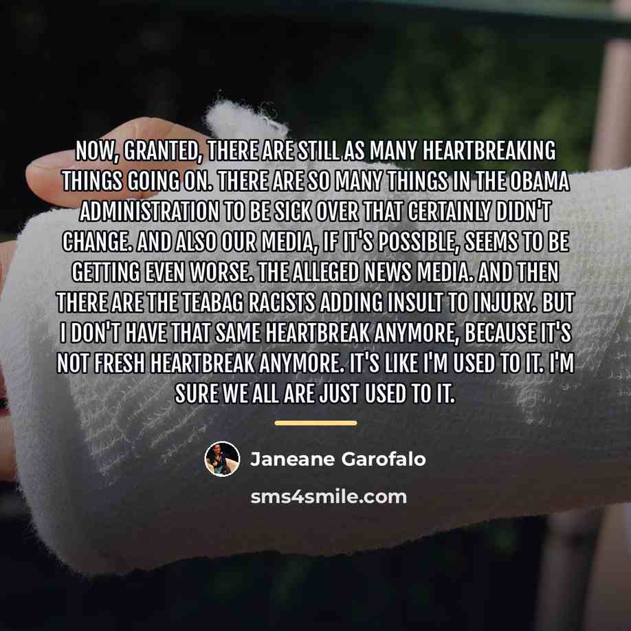 “Now, granted, there are still as many heartbreaking things going…” quote by Janeane Garofalo