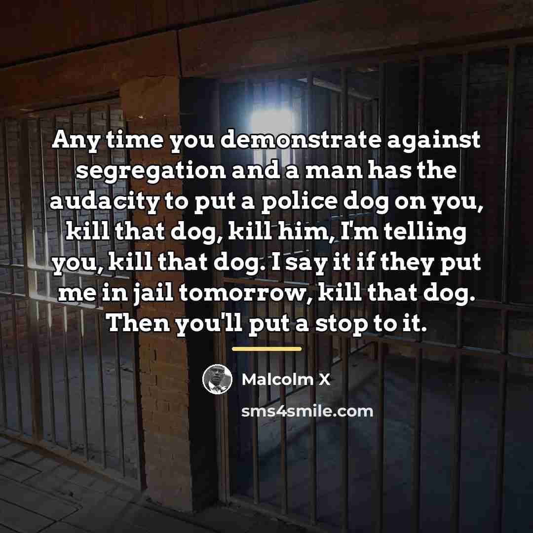 “Any time you demonstrate against segregation and a man has…” quote by Malcolm X