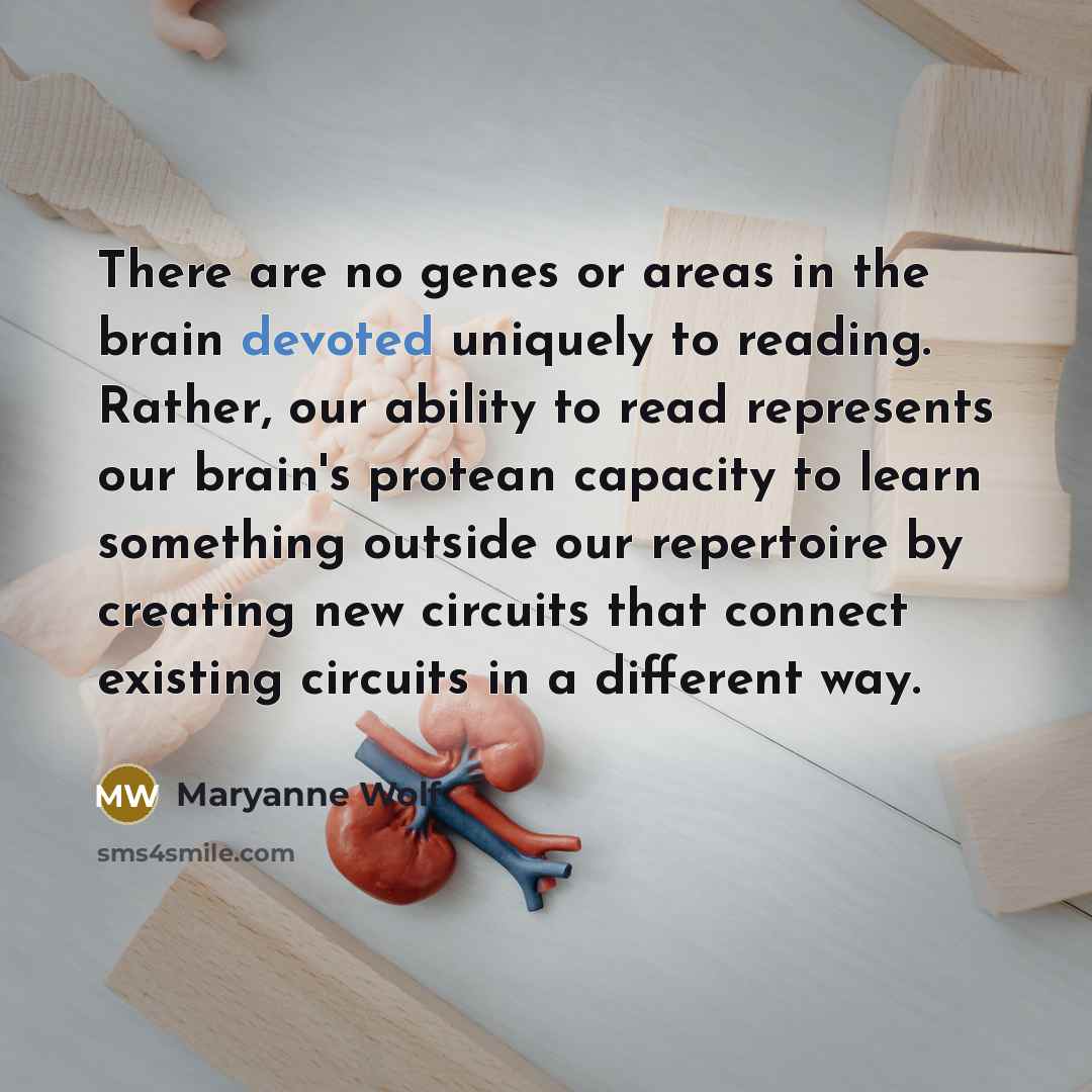 “There are no genes or areas in the brain devoted…” quote by Maryanne Wolf