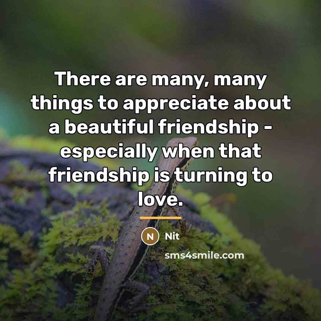 “There are many, many things to appreciate about a beautiful…” quote by Nit