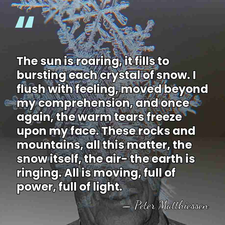 The sun is roaring, it fills to bursting each crystal of snow.&hellip; - Peter Matthiessen